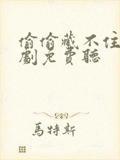 偷偷藏不住广播剧免费听