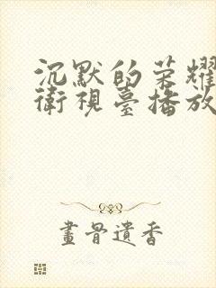 沉默的荣耀哪个卫视台播放封面