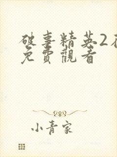 破事精英2在线免费观看封面