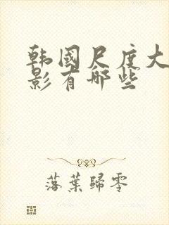 韩国尺度大的电影有哪些