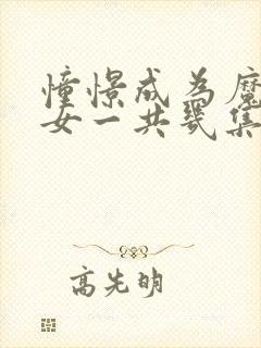 憧憬成为魔法少女一共几集封面