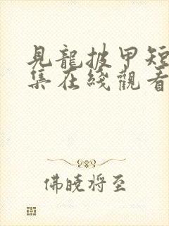 见龙披甲短剧全集在线观看电视剧封面