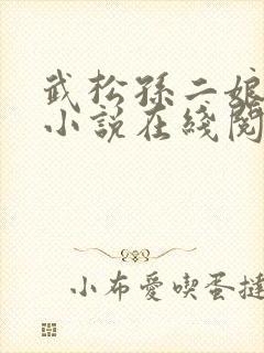 武松孙二娘云雨小说在线阅读