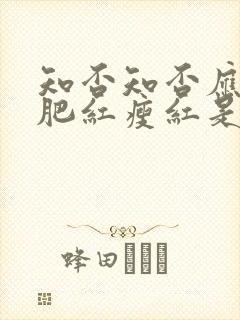 知否知否应是绿肥红瘦红是什么花