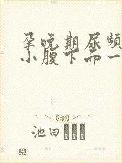 孕晚期尿频感觉小腹下面一直有尿意怎么回事