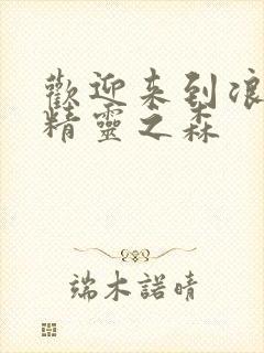 欢迎来到浪荡的精灵之森封面