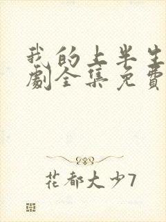 我的上半生电视剧全集免费观看