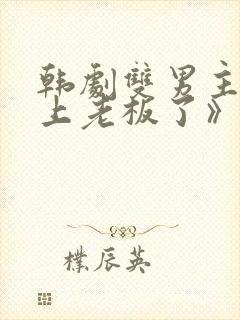 韩剧双男主《爱上老板了》在线观看