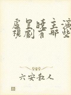 卢昱晓主演的电视剧有哪些