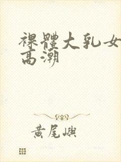 裸体大乳女做爰高潮