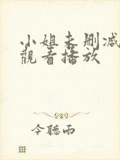 小姐未删减在线观看播放