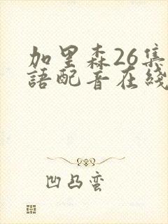 加里森26集国语配音在线观看免费