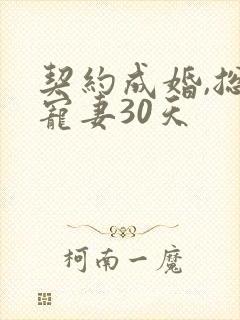 契约成婚,总裁宠妻30天封面