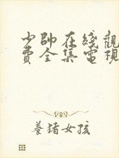 少帅在线观看免费全集电视剧