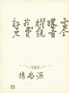 许我耀眼电视剧免费观看全集封面