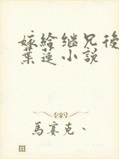 嫁给继兄后 四叶莲小说