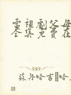 电视剧父母爱情全集免费在线观看