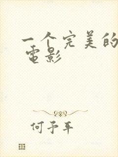 一个完美的结局 电影