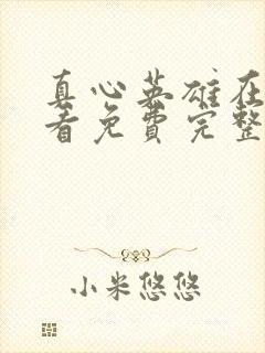 真心英雄在线观看免费完整版电视剧