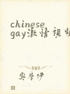 chinesegay激情视频