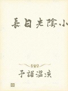 长日光阴小说