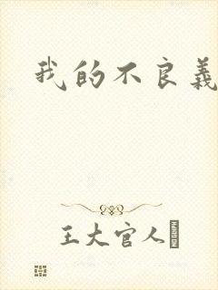 我的不良义姐封面
