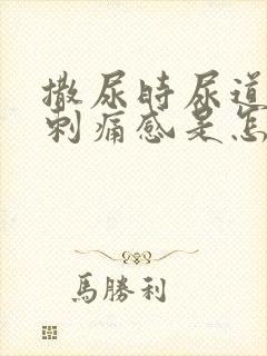 撒尿时尿道口有刺痛感是怎么回事封面