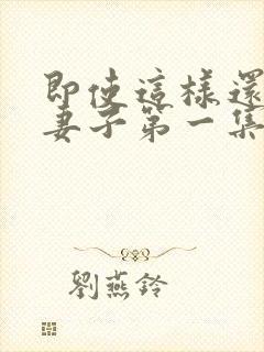 即使这样还爱着妻子第一集