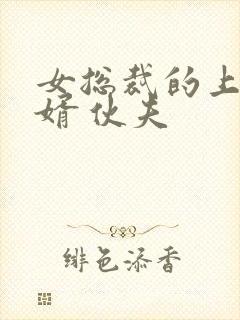 女总裁的上门龙婿 伙夫