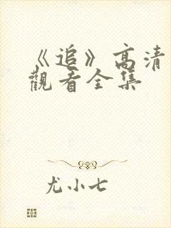 《追》高清免费观看全集