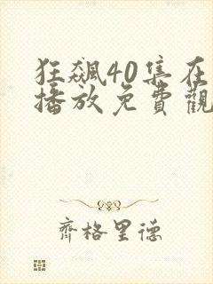 狂飙40集在线播放免费观看