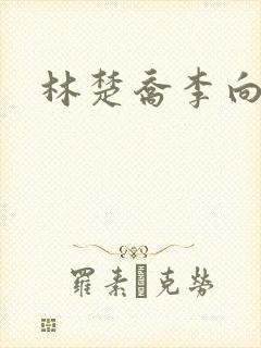 林楚乔李向南封面