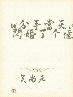 w分手当天,我闪婚了个亿万富翁》
