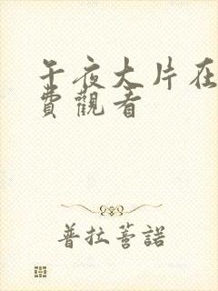 午夜大片在线免费观看