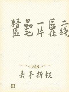 精品一区二区三区毛片在线