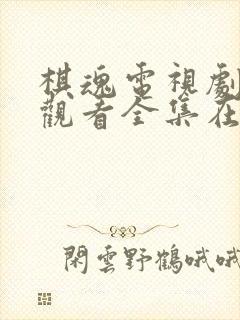 棋魂电视剧免费观看全集在线观看封面