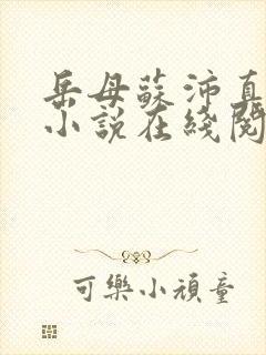 岳母苏沛真热门小说在线阅读