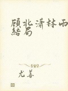 顾北潇林雨菲大结局封面