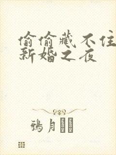 偷偷藏不住番外新婚之夜