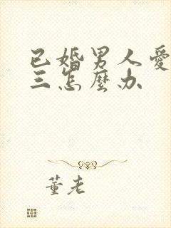 已婚男人爱上小三怎么办封面