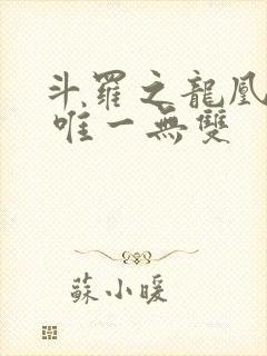 斗罗之龙凰传说 唯一无双