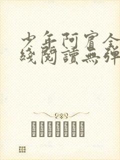 少年阿宾全文在线阅读无弹窗封面