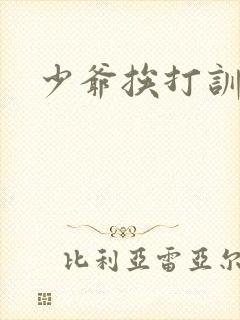 少爷挨打训诫文