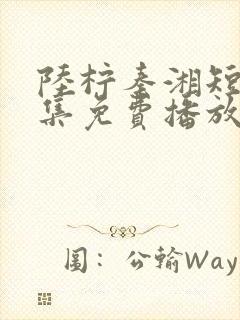 陆柠秦湘短剧全集免费播放