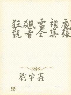 狂飙电视剧免费观看全集张译