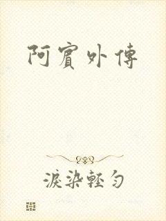 阿宾外传