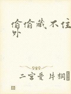 偷偷藏不住 番外