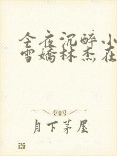 今夜沉醉小说段雪娇林杰在线阅读