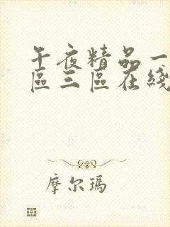 午夜精品一区二区三区在线视