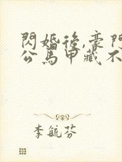 闪婚后,豪门老公马甲藏不住第三部